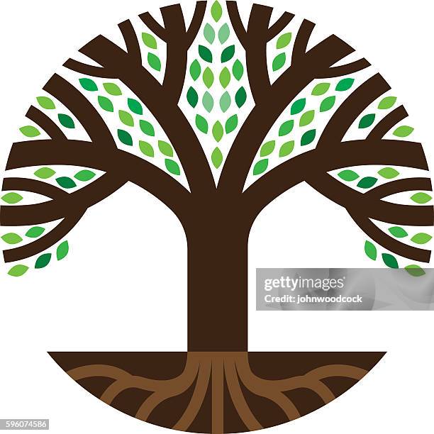 Circle Roots Vector Tree Roots Circle Photos and Premium High Res Pictures - Getty Images