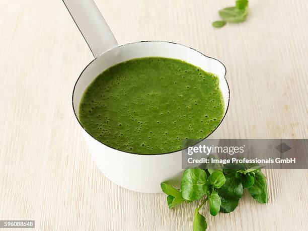bittercress soup in a pot - watercress stock pictures, royalty-free photos & images