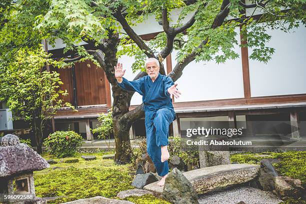 homme caucasien senior exerçant le karaté dans le temple bouddhiste, kyoto, japon - kimono photos et images de collection