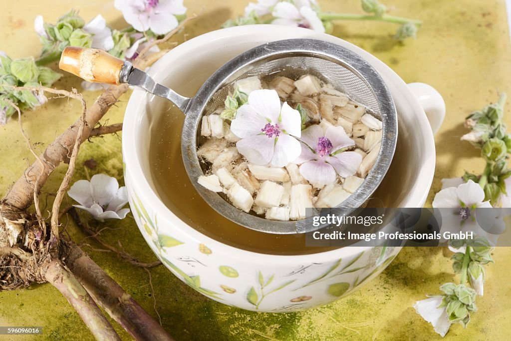 Marsh mallow root tea, roots and flowers