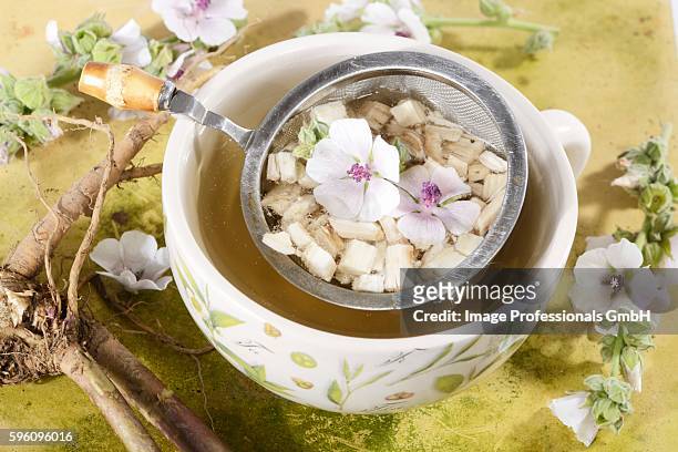 marsh mallow root tea, roots and flowers - marsh mallow plant stock pictures, royalty-free photos & images