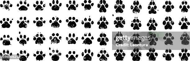 1 795点の動物の足跡イラスト素材 Getty Images 1 795点の動物の足跡イラスト素材 Getty Images