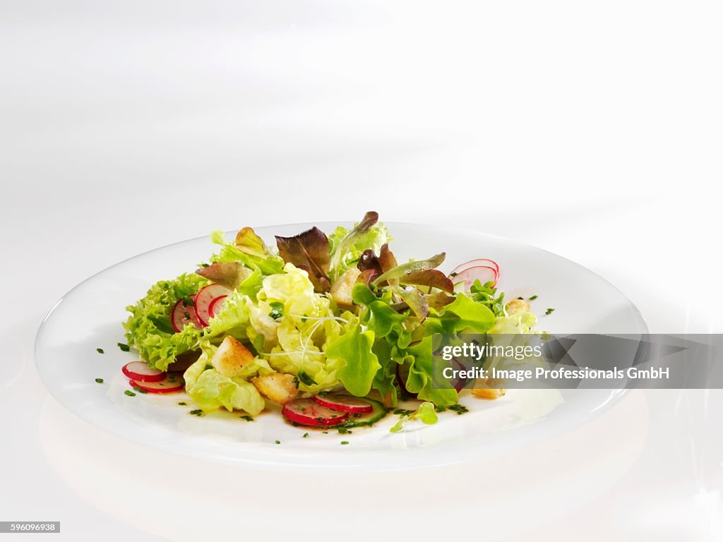 Spring salad with radishes and croutons