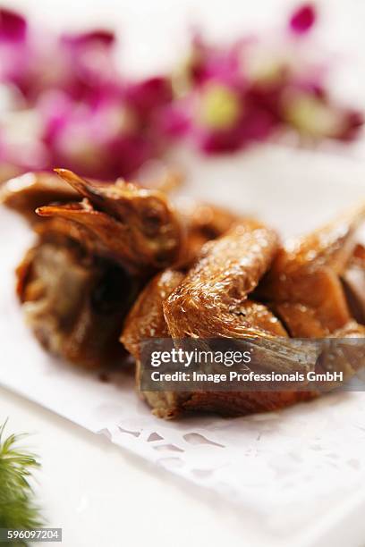 roast pigeon - roast pigeon stock pictures, royalty-free photos & images