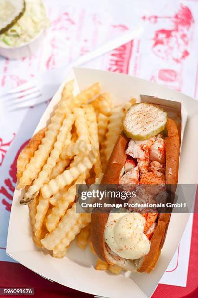 lobster roll; halved with french fries - halved lobster stock pictures, royalty-free photos & images