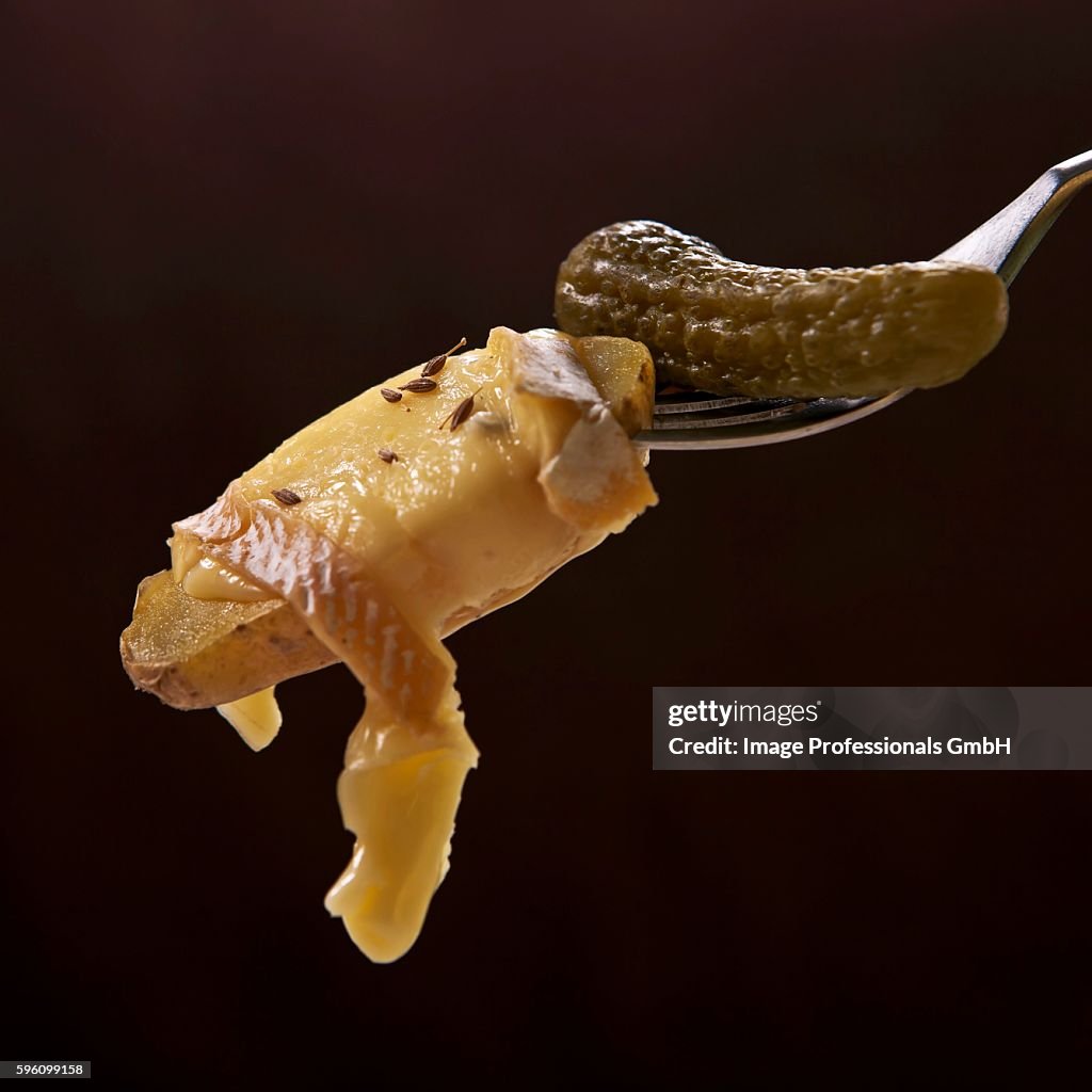 Potato with melted cheese & gherkin on fork
