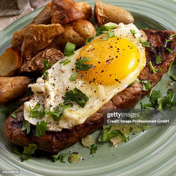 bife a cavalo; brazilian steak topped with a fried egg; potatoes - cavalo stock-fotos und bilder