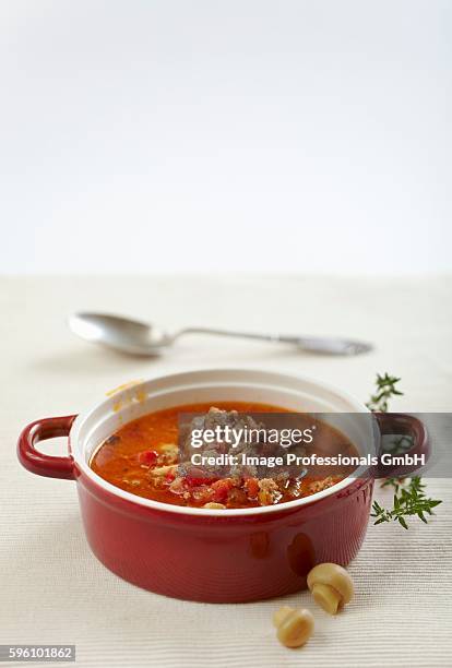 ground beef soup with tomatoes and mushrooms - ground beef stew stockfoto's en -beelden