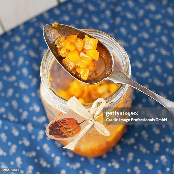 blue hubbard squash preserve; spoonful over open jar - hubbard squash stockfoto's en -beelden