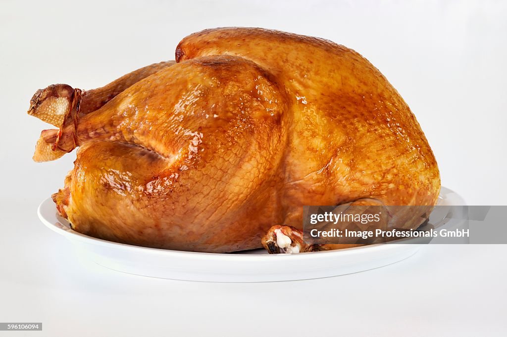 Roast turkey