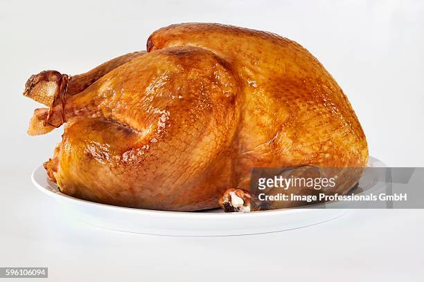 roast turkey - roast turkey stockfoto's en -beelden