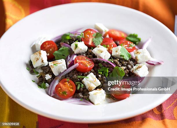 lentil salad with sheep's cheese, tomatoes and onions - fetta - fotografias e filmes do acervo