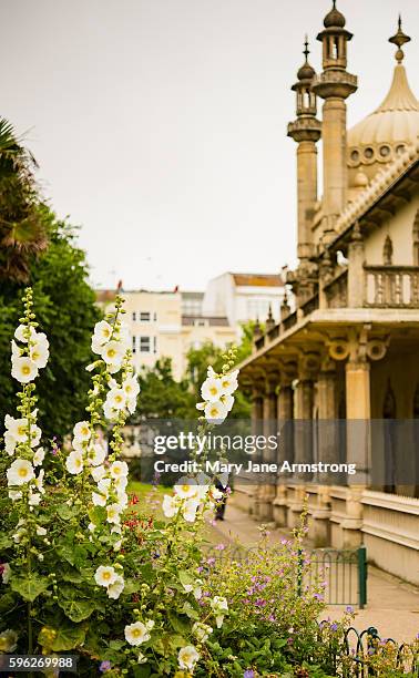 the royal pavilion in brighton, england - royal pavilion stock pictures, royalty-free photos & images