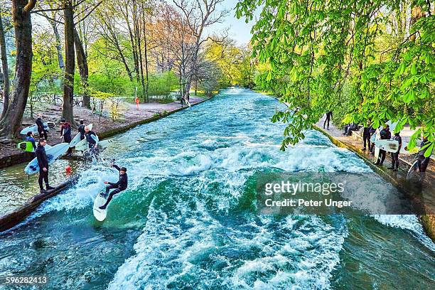 surfing on the englischer garten,(english garden ) - eisbach river stock pictures, royalty-free photos & images