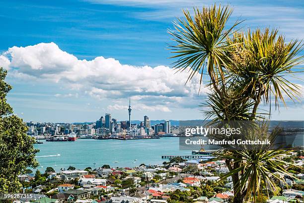 auckland harbourside suburb devonport - auckland stock-fotos und bilder