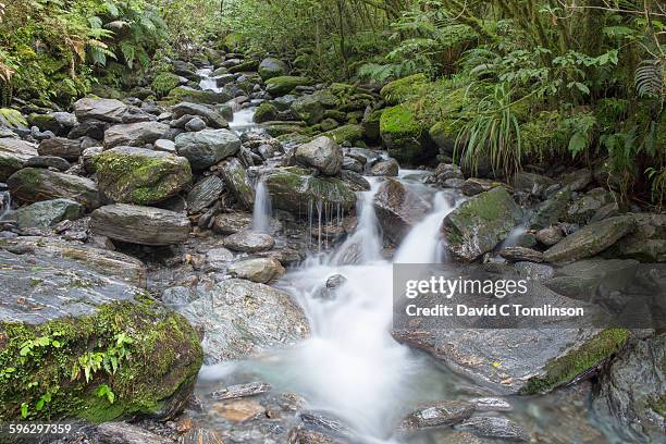 waterfalls in temperate rainforest, fox glacier - westland stock-fotos und bilder