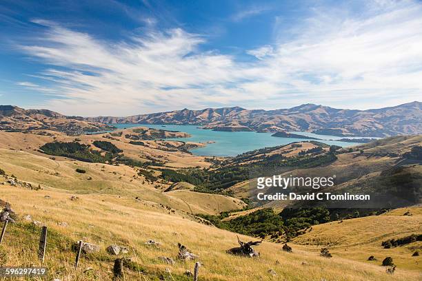 akaroa harbour and the banks peninsula, akaroa - christchurch new zealand stock pictures, royalty-free photos & images