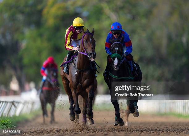 horse racing - horse racecourse 個照片及圖片檔