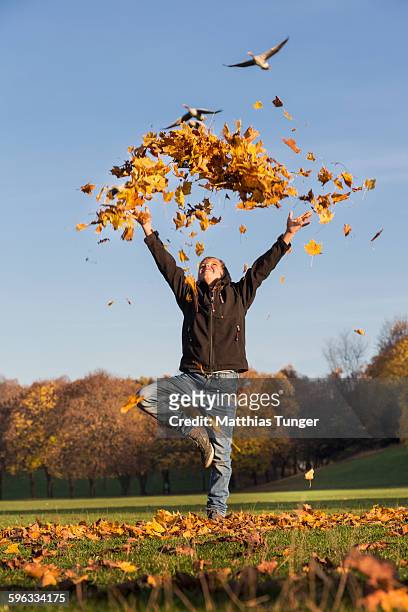 young boys throwing leaves in a park in autumn - 2015 375 stock pictures, royalty-free photos & images