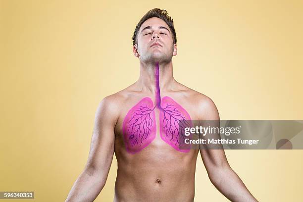 lung of a man - peinture corporelle photos et images de collection