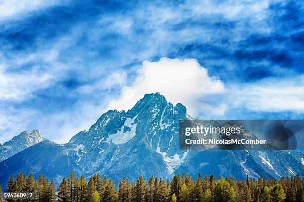 grand teton bergkette unter bewölktem himmel - nicolas berggruen stock-fotos und bilder