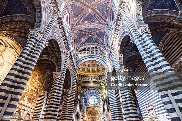 ornate ceiling of siena cathedral, siena - sito patrimonio dell'umanità unesco foto e immagini stock