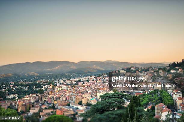 grasse at dawn in summer - grasse stock pictures, royalty-free photos & images