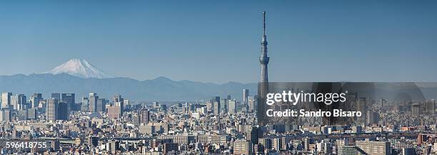 tokyo skyline panorama with skytree and fuji - tokyo sky tree stock-fotos und bilder