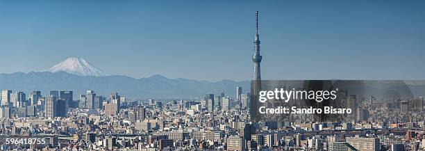 tokyo skyline panorama with skytree and fuji - tokyo skytree stock pictures, royalty-free photos & images