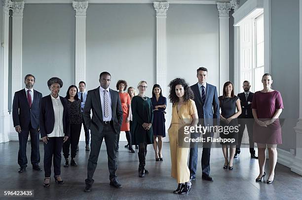 group of people at a business conference - een groep mensen stockfoto's en -beelden