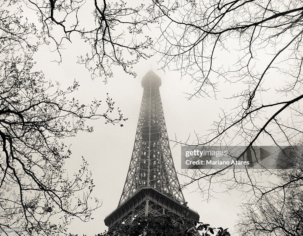 Paris in Winter