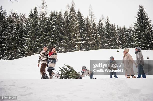 austria, altenmarkt-zauchensee, two couples and two children transporting christmas tree through winter forest - family snow stock-fotos und bilder