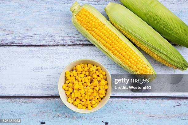 organic corncob on wood, maize in bowl - maïs photos et images de collection