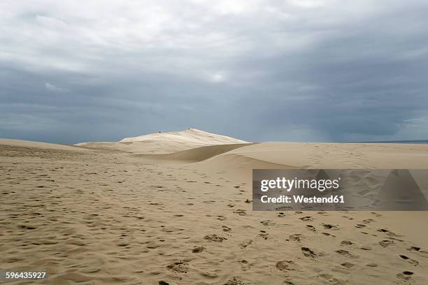 france, dune of pilat, tallest sand dune in europe - duna de pilat fotografías e imágenes de stock