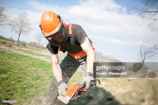 lumberjack sawing tree trunk - tree chipping stock pictures, royalty-free photos & images