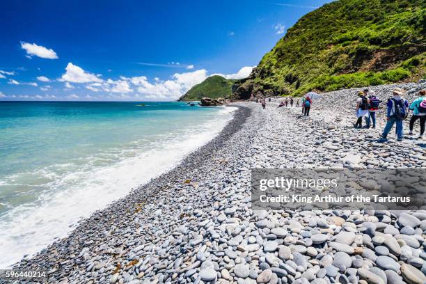 taiwan's most beautiful coast - coconut crab stock pictures, royalty-free photos & images