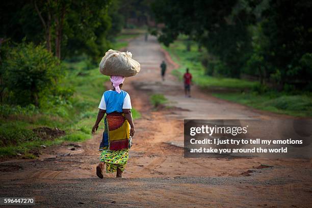 yongoro, sierra leone, west africa - sierra leone stock pictures, royalty-free photos & images