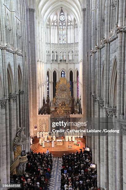 episcopal ordination of bishop olivier leborgne, bishop of the diocese of amiens. amiens cathedral. - amiens fotografías e imágenes de stock