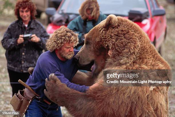 Animal trainer Doug Seus works with Bart, an Alaskan brown bear, on the film set of White Fang. Haines, Alaska.