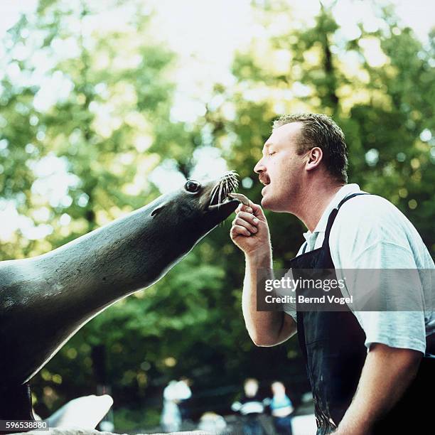 keeper with sea lion - zoologist stock pictures, royalty-free photos & images