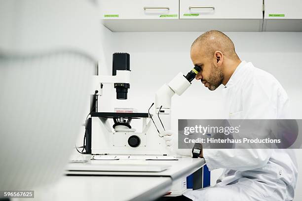 Man Looking Through Microscope Photos and Premium High Res Pictures ...