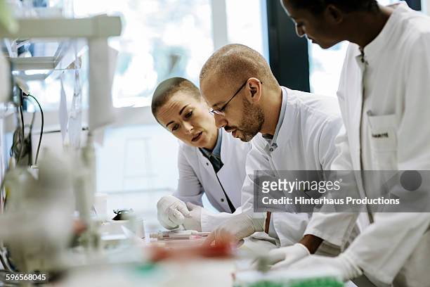scientists inside a laboratory - scientist in laboratory imagens e fotografias de stock