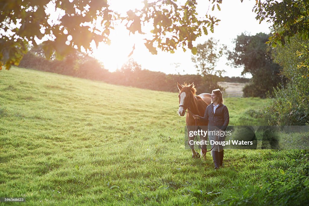 Horse and rider walking in countryside.