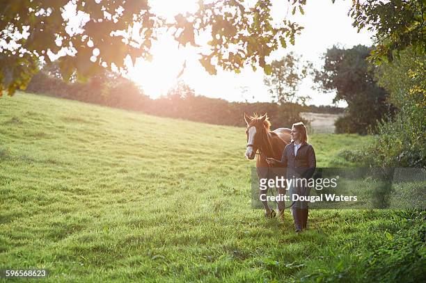 horse and rider walking in countryside. - montare un animale montare foto e immagini stock
