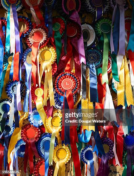 collection of prize rosettes on pin board. - first place winner stock pictures, royalty-free photos & images