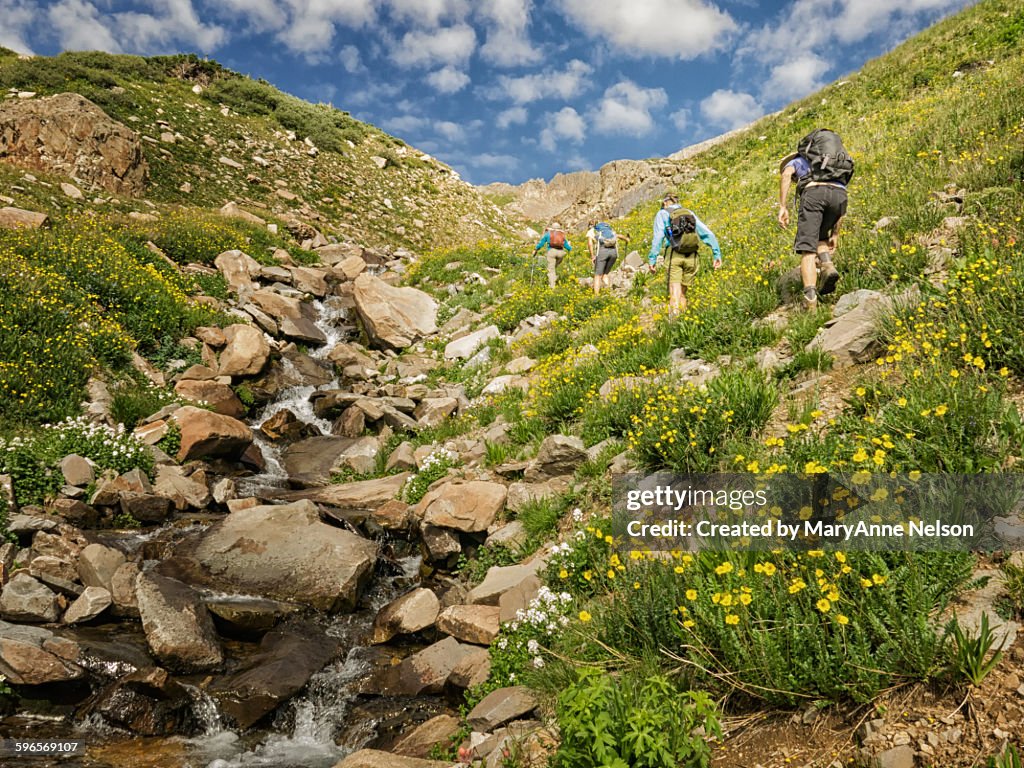 Hiking up Tomahawk Basin