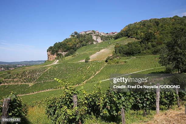 vineyards and chateau-chalon, one of the most beautiful villages of france. - jura stockfoto's en -beelden