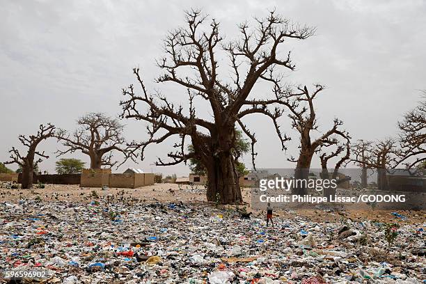 dump and baobab trees. - senegal landscape stock pictures, royalty-free photos & images
