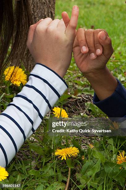 diverse hands - pinky promise stock pictures, royalty-free photos & images