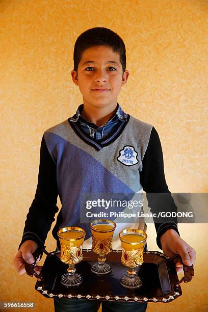 suleiman zaareer, 11-year-old palestinian boy - palestinian boy stock pictures, royalty-free photos & images